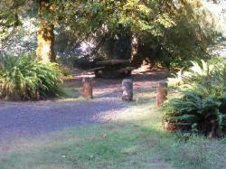 Loop C Site 63 Hoh Campground Olympic National Park