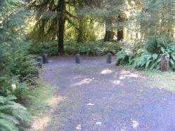 Loop C Site 64 Hoh Campground Olympic National Park