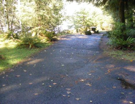 Loop C Site 65 Hoh Campground Olympic National Park