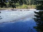 Loop C Site 65 Hoh Campground Olympic National Park