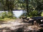 Loop C Site 66 Hoh Campground Olympic National Park