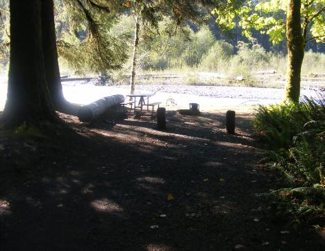 Loop C Site 69 Hoh Campground Olympic National Park