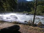 Loop C Site 69 Hoh Campground Olympic National Park