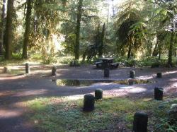 Loop C Site 73 Hoh Campground Olympic National Park