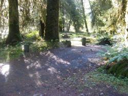 Loop C Site 75 Hoh Campground Olympic National Park
