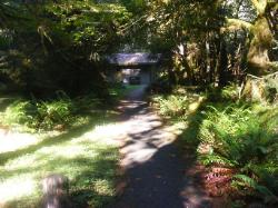 Driving Loop C Hoh Campground Olympic National Park