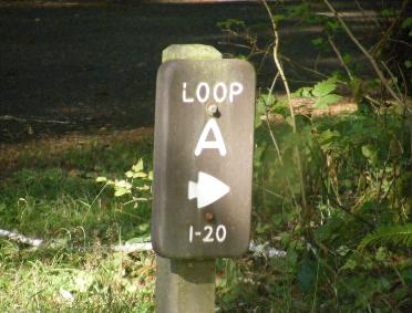  Loop A Olympic National Park Mora Campground