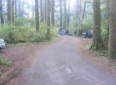  Loop A Olympic National Park Mora Campground