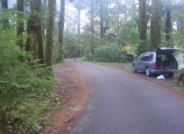  Loop A Olympic National Park Mora Campground