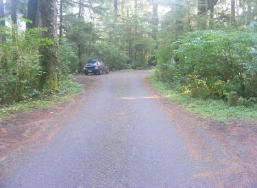  Loop A Olympic National Park Mora Campground