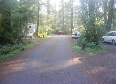  Loop A Olympic National Park Mora Campground