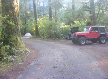  Loop A Olympic National Park Mora Campground