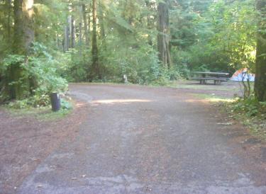  Loop A Olympic National Park Mora Campground
