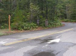 Loop A Road  - Newhalem Campground North Cascades 