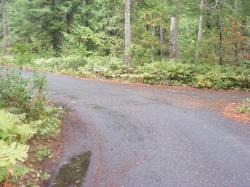 Loop A Road  - Newhalem Campground North Cascades 