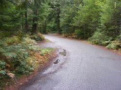 Loop A Road  - Newhalem Campground North Cascades 