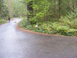 Loop A Road  - Newhalem Campground North Cascades 