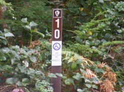 Loop A Site 10 - Newhalem Campground North Cascades 