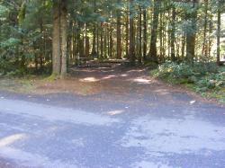 Loop A Site 13 - Newhalem Campground North Cascades 