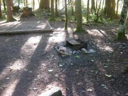 Loop A Site 13 - Newhalem Campground North Cascades 