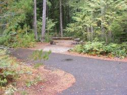 Loop A Site 24 - Newhalem Campground North Cascades 