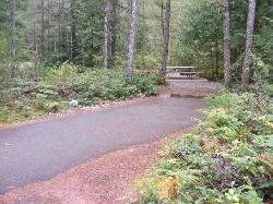 Loop A Site 25 - Newhalem Campground North Cascades 