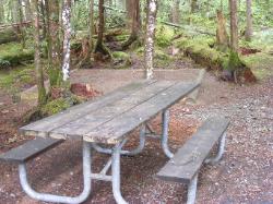 Loop A Site 6 - Newhalem Campground North Cascades 