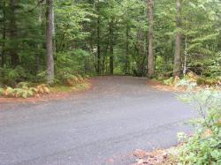 Loop A Site 8 - Newhalem Campground North Cascades 