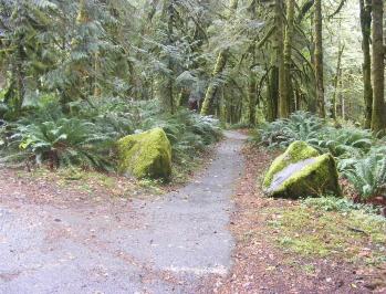 Loop A Fairholme Campground Olympic