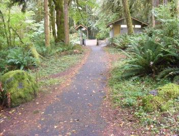 Loop A Fairholme Campground Olympic