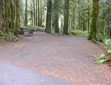 Site A01 Fairholme Campground Olympic