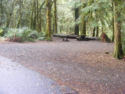 Site A03 Fairholme Campground Olympic
