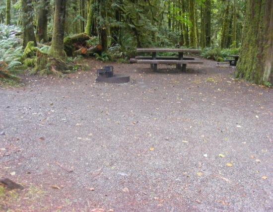 Site A05 Fairholme Campground Olympic