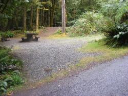 Site A06 Fairholme Campground Olympic