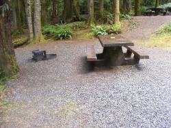Site A06 Fairholme Campground Olympic