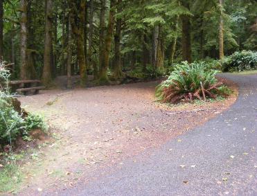 Site A08 Fairholme Campground Olympic