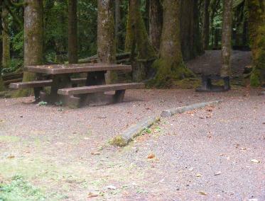 Site A08 Fairholme Campground Olympic