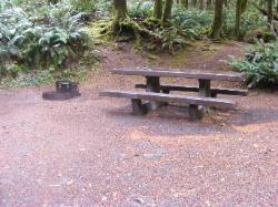 Site A09 Fairholme Campground Olympic
