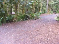 Site A09 Fairholme Campground Olympic