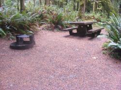 Site A10 Fairholme Campground Olympic