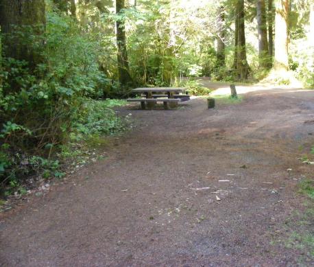 Loop A site 11 Olympic National Park Mora Campground