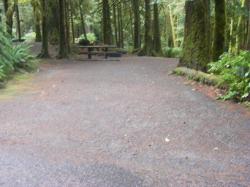 Site A14 Fairholme Campground Olympic