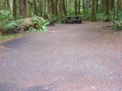 Site A14 Fairholme Campground Olympic