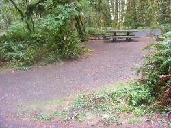 Site A17 Fairholme Campground Olympic