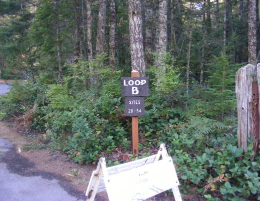 Newhalem Campground Loop B