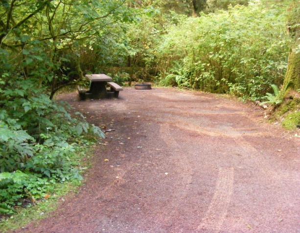 Mora Campground Site 25 Loop B