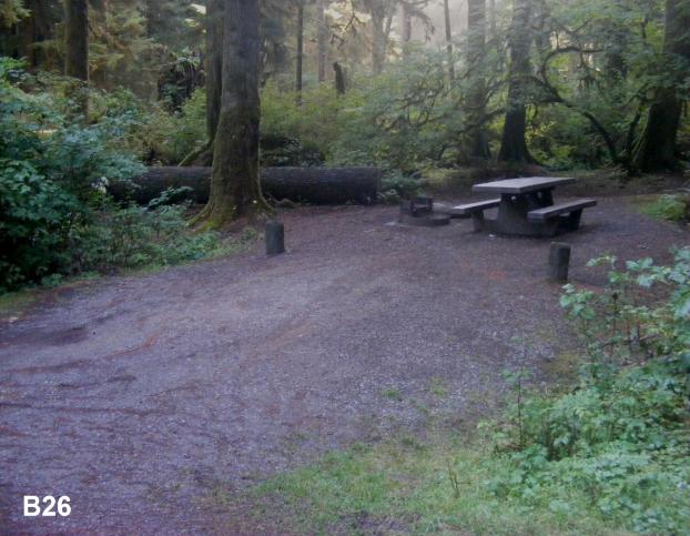 Mora Campground Site 26 Loop B