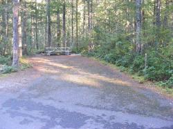 Site 28 - Newhalem Campground Loop B