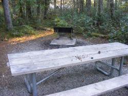 Site 28 - Newhalem Campground Loop B