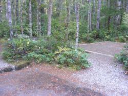 Site 30- Newhalem Campground Loop B